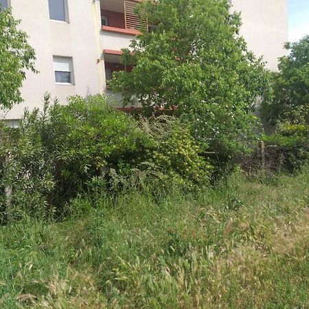 Ferienwohnung Le Nomade, Parc Montcalm Et Stationnement Prive Montpellier Exterior foto